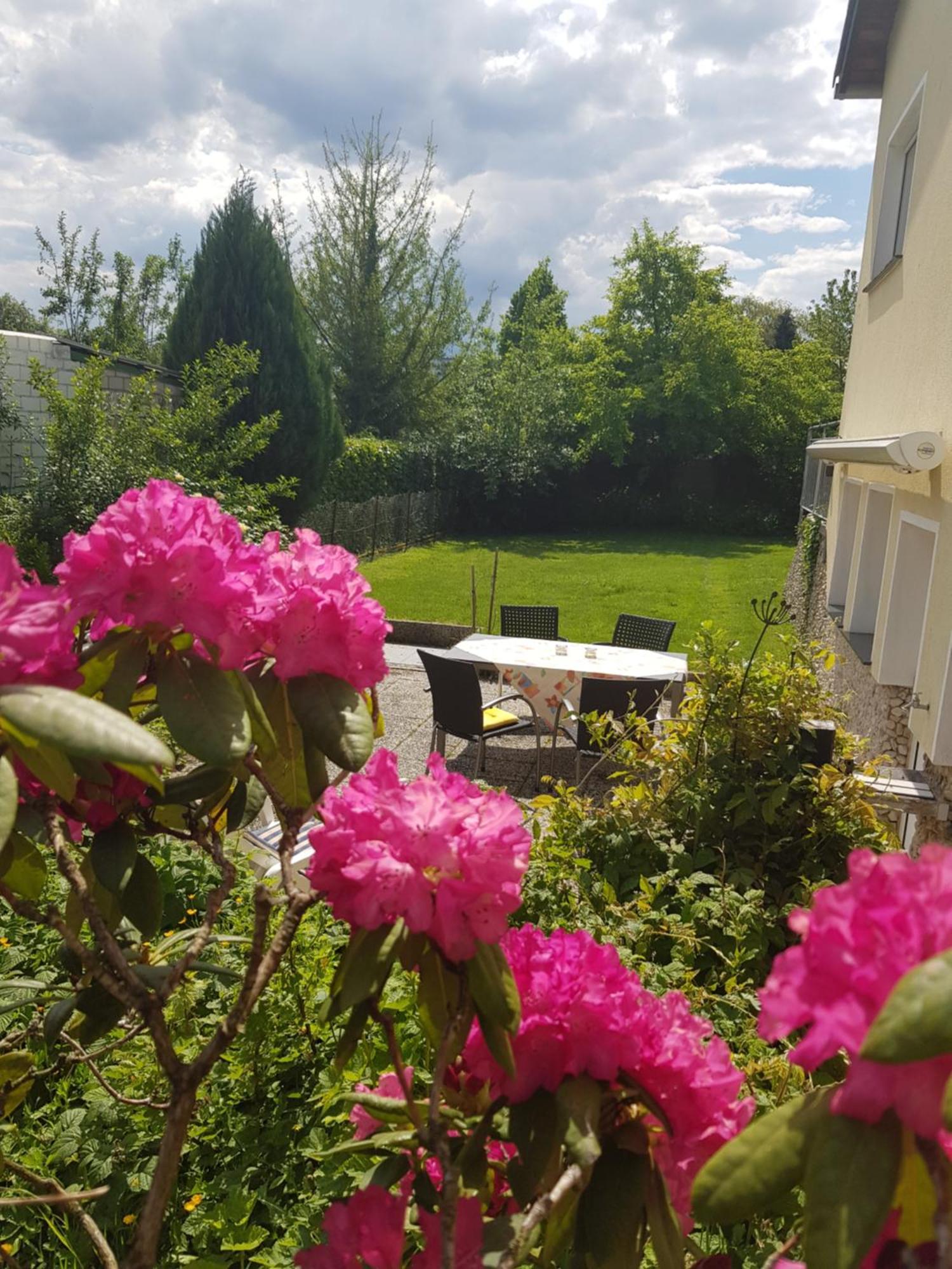Ferienwohnung Im Rurtal Kreuzau Extérieur photo